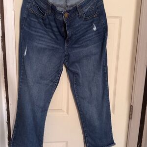 Democracy Cropped Jeans